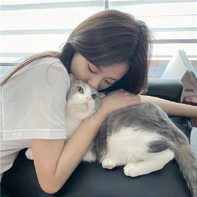 功夫小兔侠